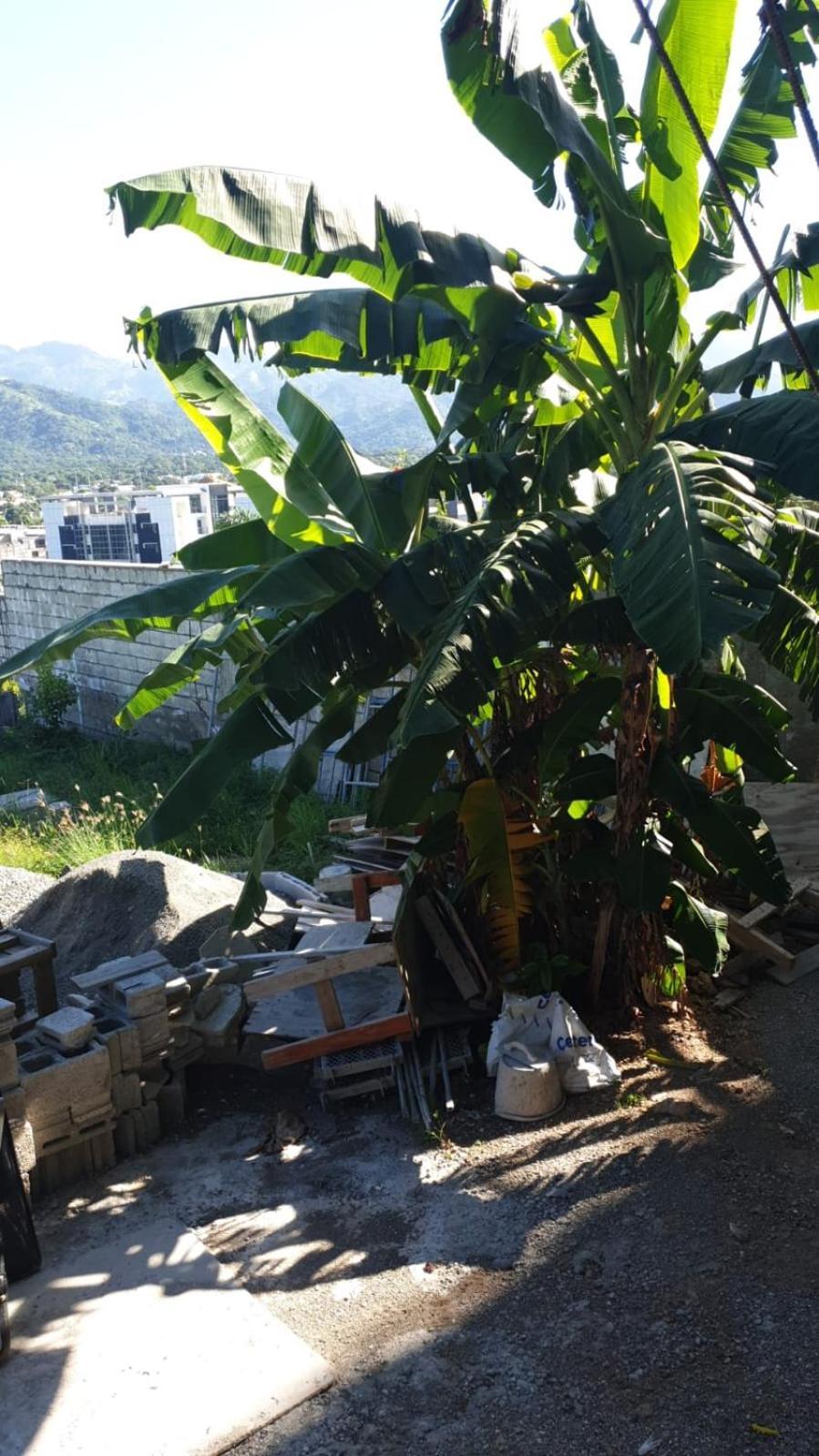 Amharic Ξενοδοχείο Κίνγκστον Εξωτερικό φωτογραφία